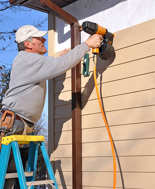 Best Siding Painting and Refinishing  in Countryside, VA